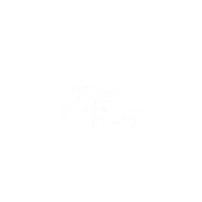 Traffic Issue